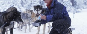 Skisæsonen er over os Skisæsonen er over os