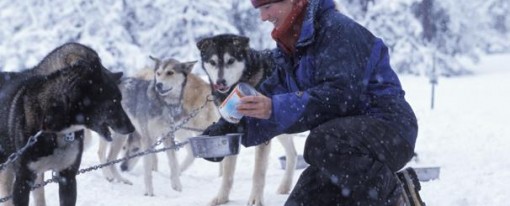 Skisæsonen er over os Skisæsonen er over os
